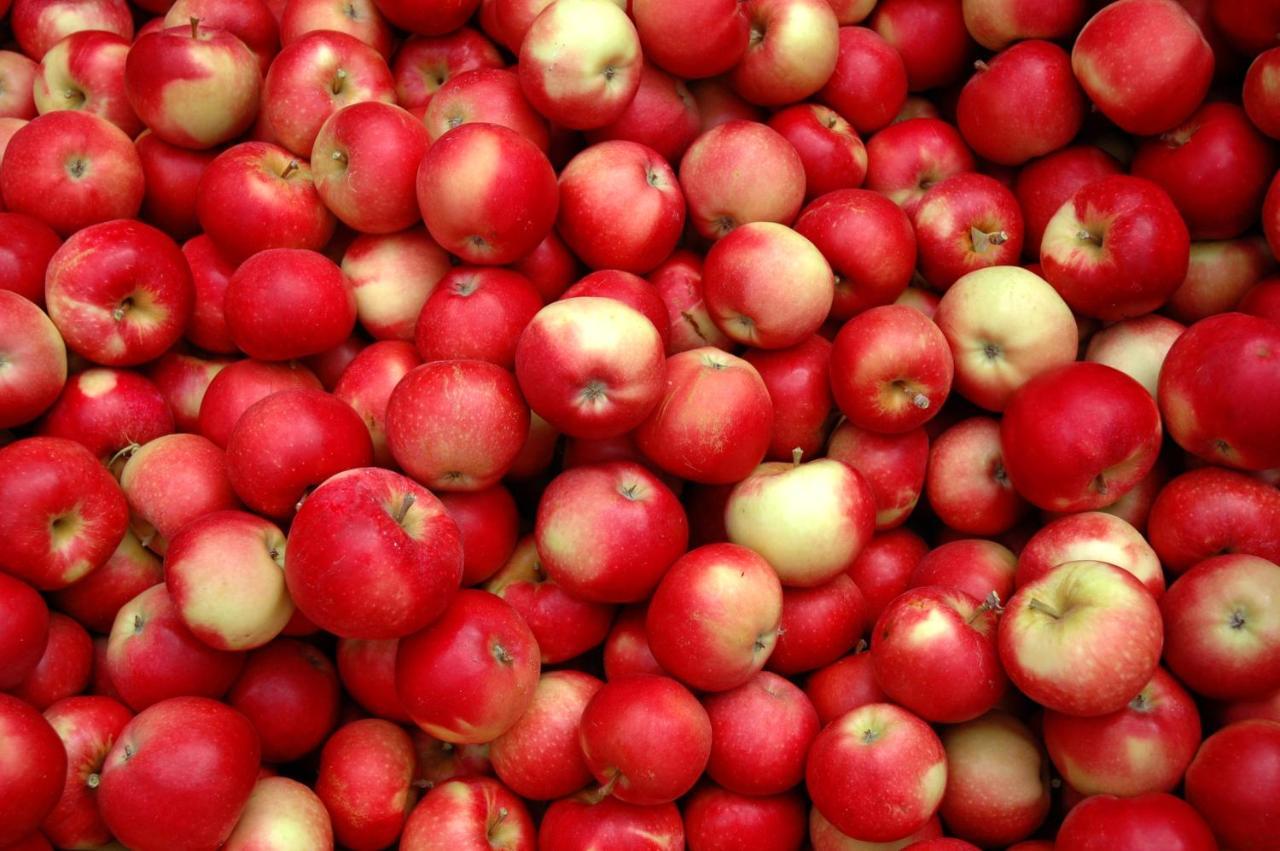 The Rotten Apple Backpackers Гастінгс Екстер'єр фото